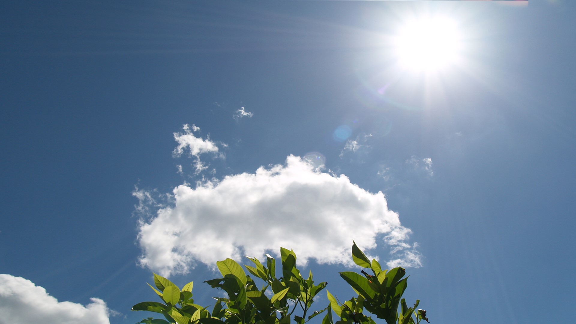 光導(dǎo)照明與電能照明主要的區(qū)別是什么？