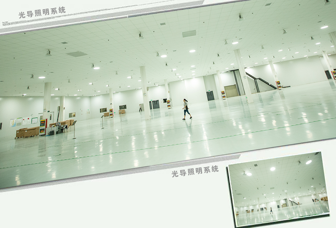 一份來源于自然的禮物——生活需要陽光、需要